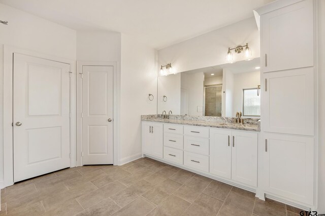 bathroom with vanity and walk in shower