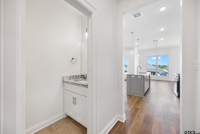 bathroom featuring wood-type flooring and vanity