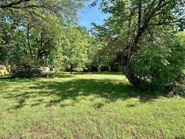 105 Blackstone Dr, White Oak, TX 75693 - photo 22