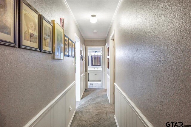17599 Autumn Trl, Whitehouse, TX 75791 - corridor featuring crown molding, a textured wall, and carpet flooring