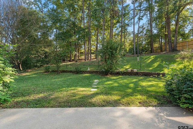 307 Robinwood Ln, Whitehouse, TX 75791 - photo 29
