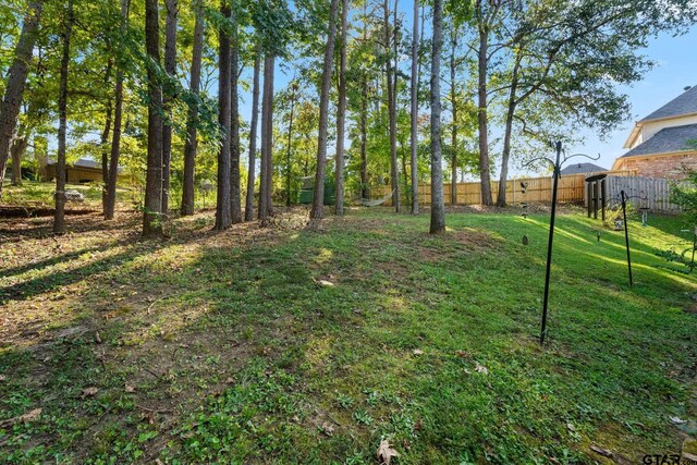 307 Robinwood Ln, Whitehouse, TX 75791 - photo 30