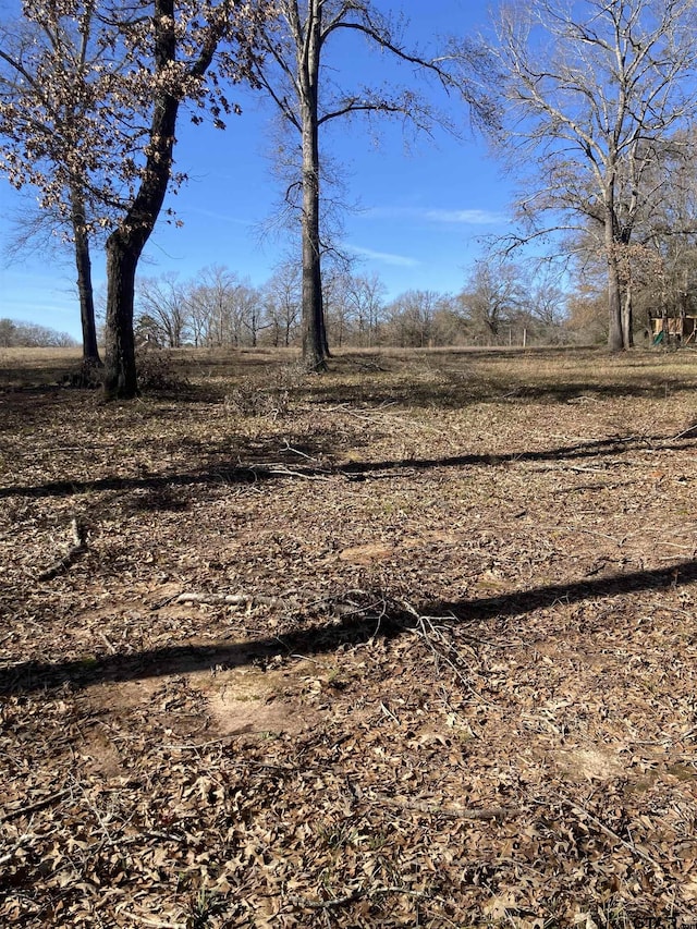00 County Road 426, Lindale, TX 75771 - photo 11