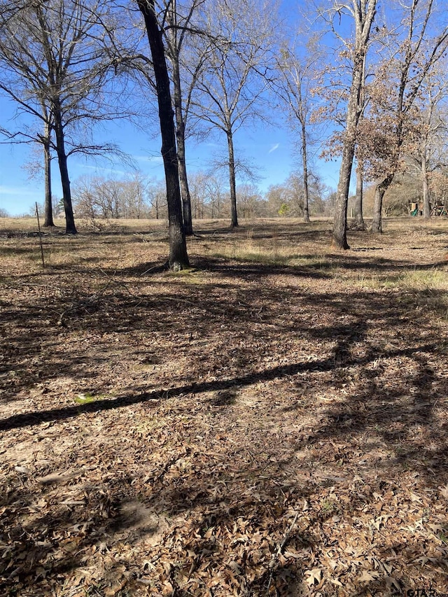 00 County Road 426, Lindale, TX 75771 - photo 16