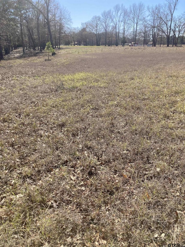 00 County Road 426, Lindale, TX 75771 - photo 6