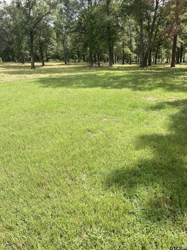 00 County Road 426, Lindale, TX 75771 - photo 28