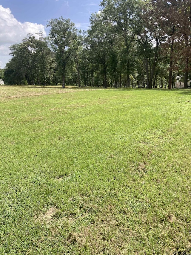 00 County Road 426, Lindale, TX 75771 - photo 25