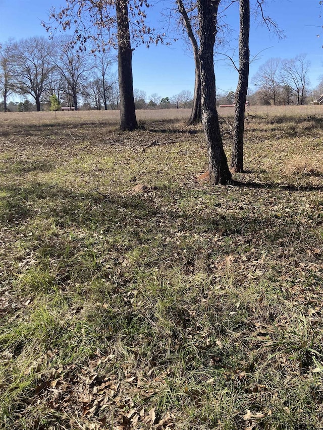 00 County Road 426, Lindale, TX 75771 - photo 10