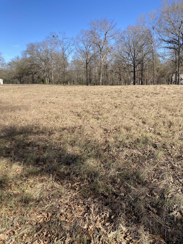 00 County Road 426, Lindale, TX 75771 - photo 18