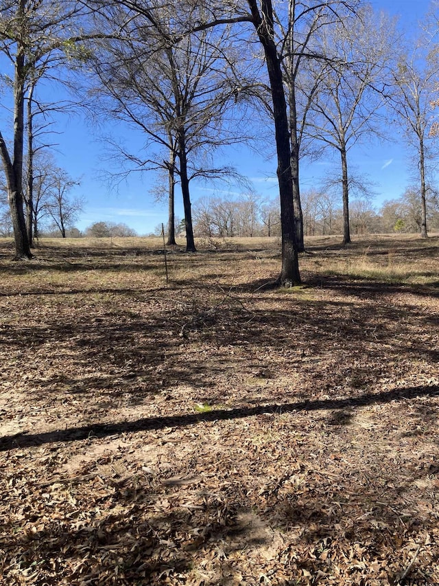 00 County Road 426, Lindale, TX 75771 - photo 17