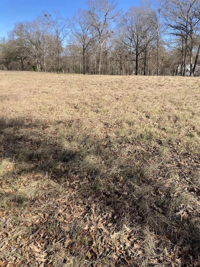 00 County Road 426, Lindale, TX 75771 - photo 19