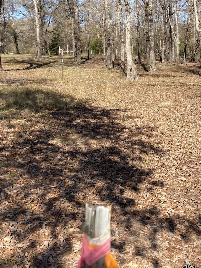 00 County Road 426, Lindale, TX 75771 - photo 14