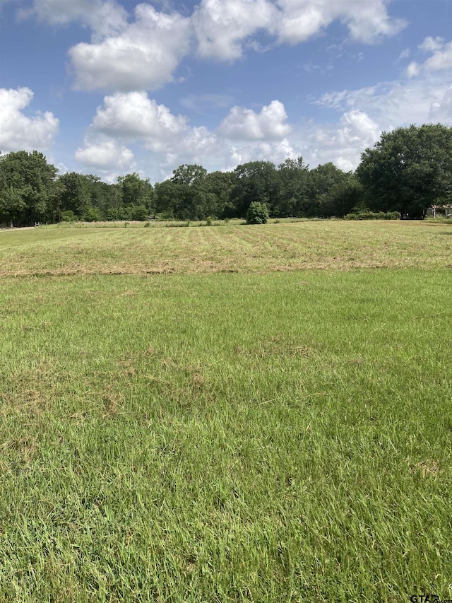 00 County Road 426, Lindale, TX 75771 - photo 29