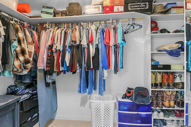 view of spacious closet