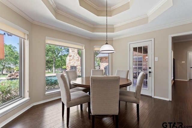 dining area featuring a tray ceiling, ornamental molding, a wealth of natural light, and dark wood-type flooring