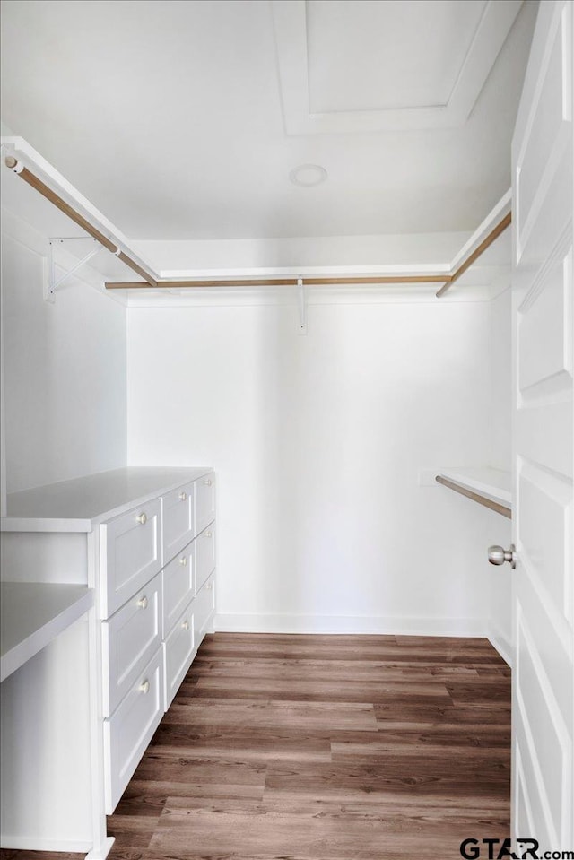 walk in closet with wood finished floors