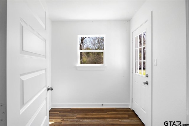 entryway featuring baseboards, plenty of natural light, and dark wood-style flooring