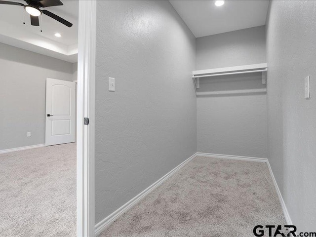 spacious closet featuring a ceiling fan, a raised ceiling, and carpet flooring