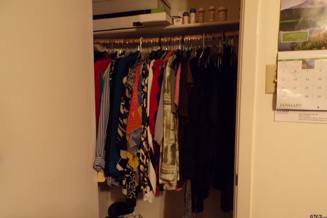 view of closet