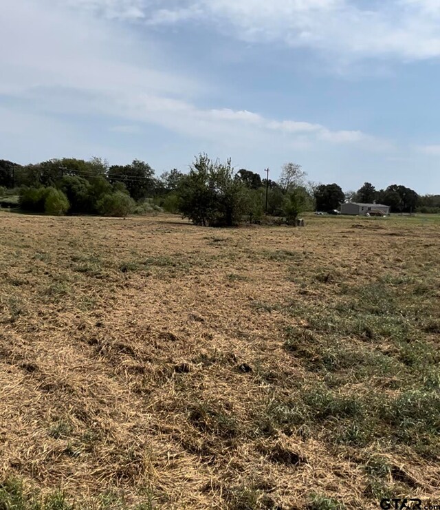 LOT6 County Road 3374, Emory, TX 75440 - photo 5