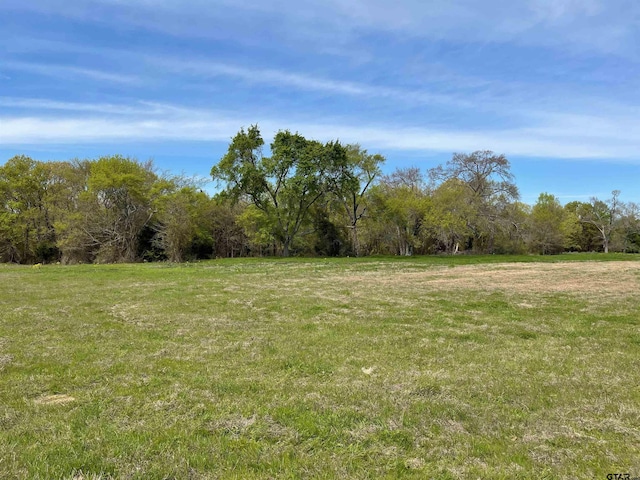 23 E Belles Ln, Brownsboro TX, 75756 land for sale