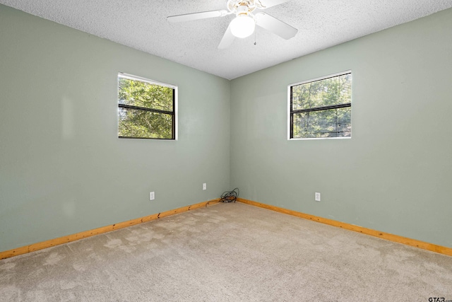 149 Primrose Path, Hawkins, TX 75765 - spare room featuring plenty of natural light, carpet, baseboards, and a textured ceiling