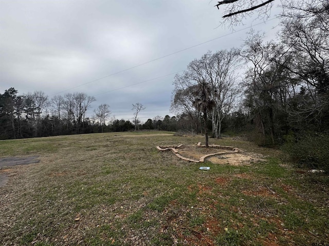 10498 County Road 1111, Tyler TX, 75704 land for sale