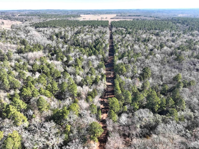 TBD Bamboo Rd, Big Sandy, TX 75755