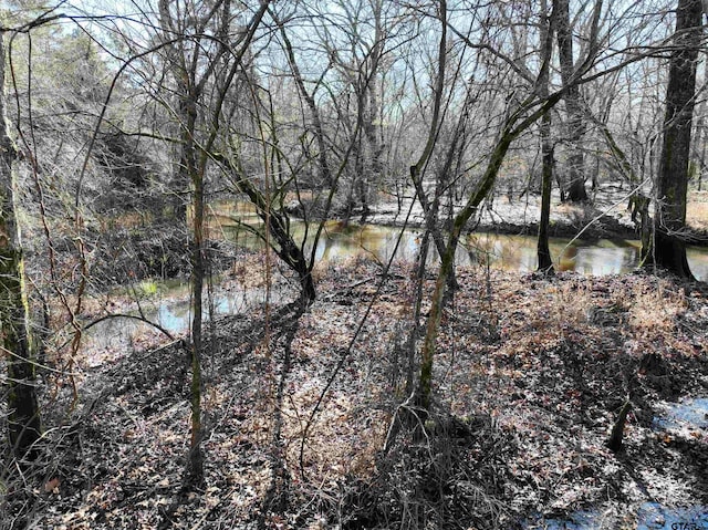 TBD Bamboo Rd, Big Sandy, TX 75755