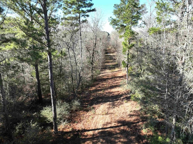 TBD Bamboo Rd, Big Sandy, TX 75755
