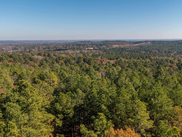 LOT5 Skyline Dr, Brownsboro, TX 75756 - photo 8