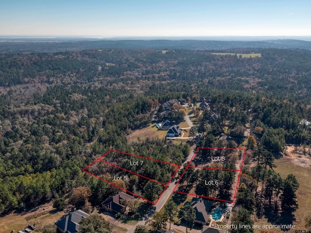 LOT5 Skyline Dr, Brownsboro, TX 75756 - photo 6