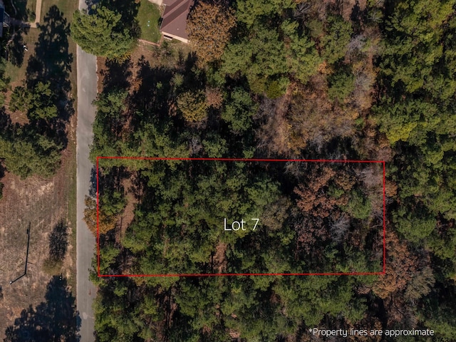 LOT5 Skyline Dr, Brownsboro, TX 75756 - photo 3