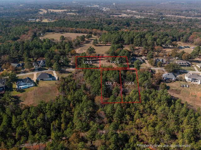 LOT5 Skyline Dr, Brownsboro, TX 75756 - photo 5