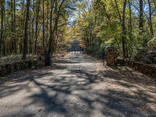 LOT5 Skyline Dr, Brownsboro, TX 75756 - photo 2