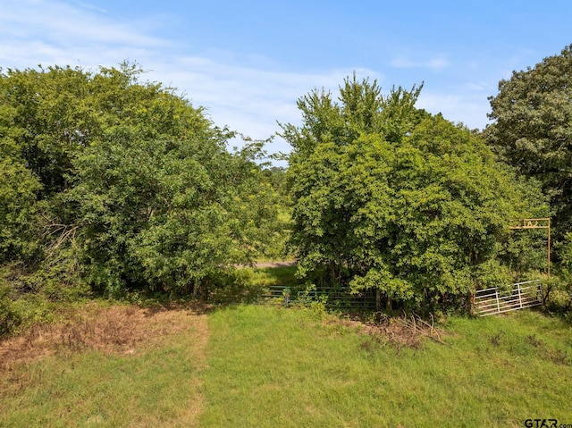 TBD County Road 2590, Marietta, TX 75566 - photo 7