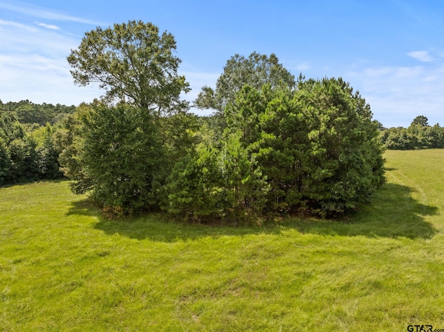 TBD County Road 2590, Marietta, TX 75566 - photo 22