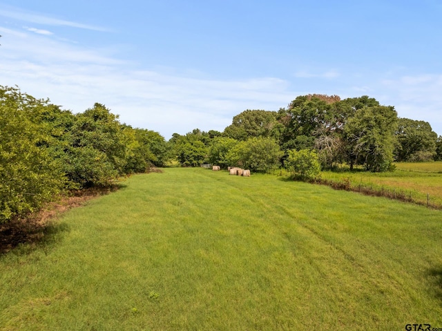 TBD County Road 2590, Marietta, TX 75566 - photo 8