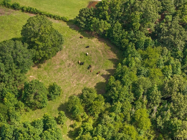 TBD County Road 2590, Marietta, TX 75566 - photo 27