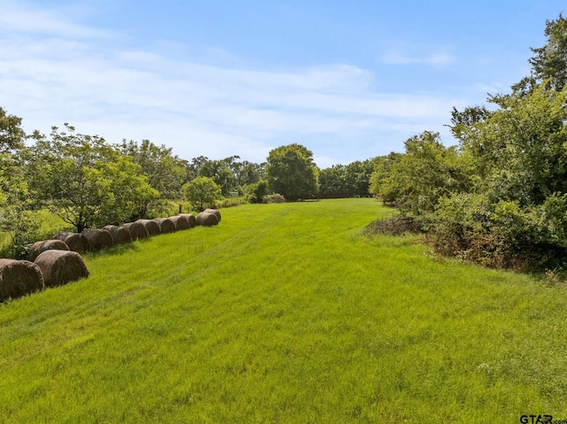 TBD County Road 2590, Marietta, TX 75566 - photo 6