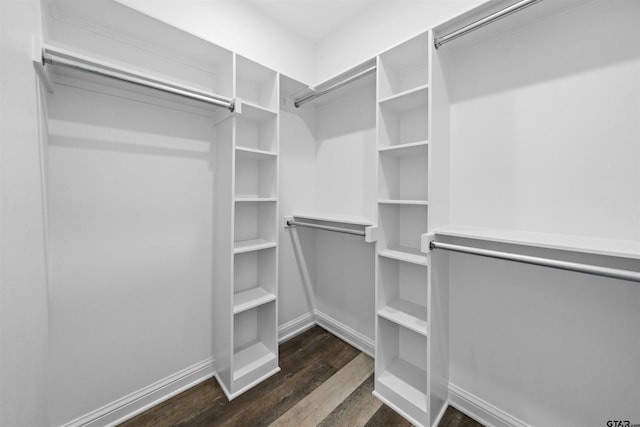 spacious closet featuring dark wood-type flooring