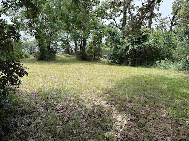 216 Nettles Dr, Tyler, TX 75702
