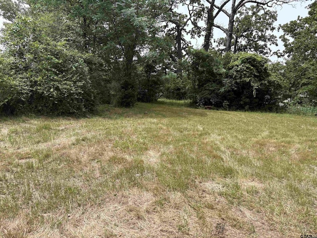 216 Nettles Dr, Tyler, TX 75702