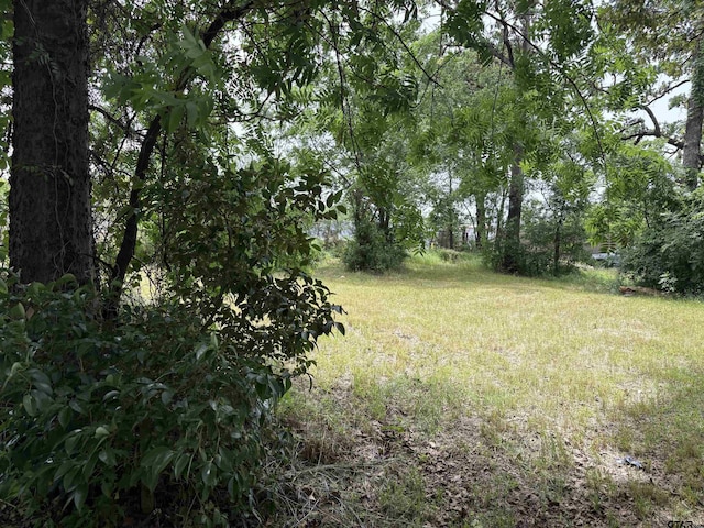 216 Nettles Dr, Tyler, TX 75702