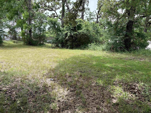 216 Nettles Dr, Tyler, TX 75702