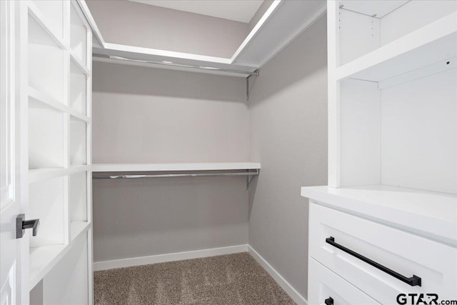 walk in closet with carpet flooring