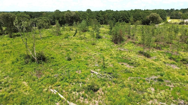 TBD E State Highway 294, Elkhart, TX 75839 - photo 22