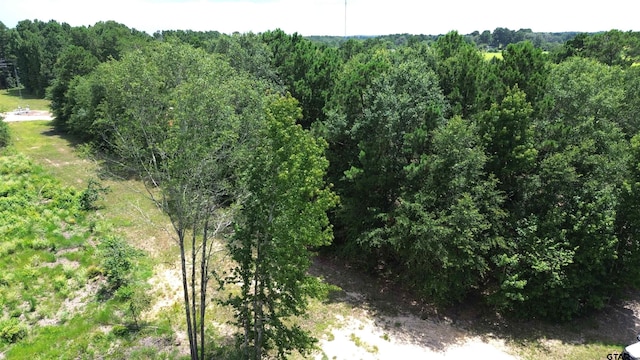 TBD E State Highway 294, Elkhart, TX 75839 - photo 25