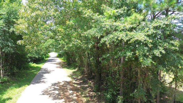TBD E State Highway 294, Elkhart, TX 75839 - photo 34