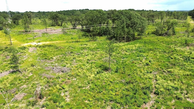 TBD E State Highway 294, Elkhart, TX 75839 - photo 23
